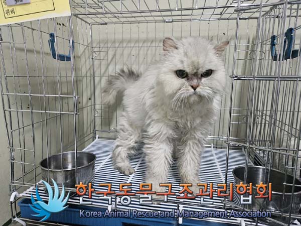 한국동물구조관리협회_441560202400144